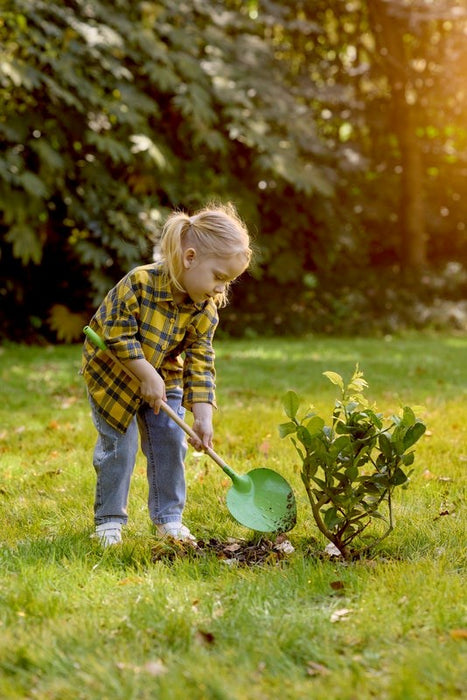 Pointed Garden Shovel