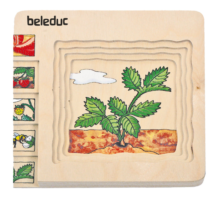 Multilayer Puzzles - Strawberry
