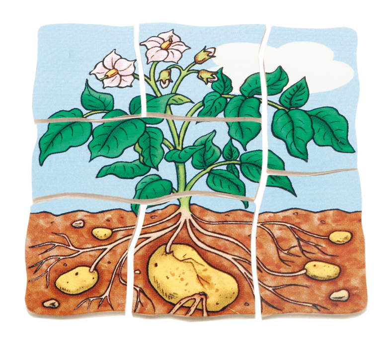 Multilayer Puzzles - Potato