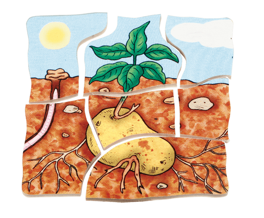 Multilayer Puzzles - Potato