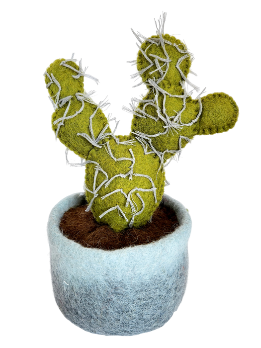 Felt Cacutus