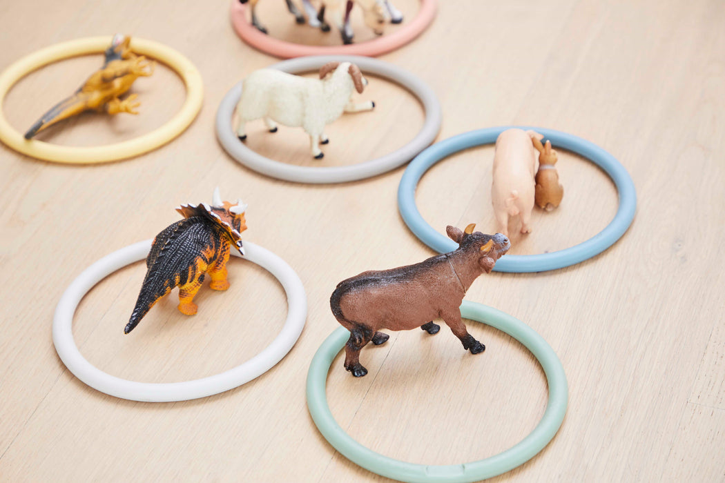 Nordic Activity Rings