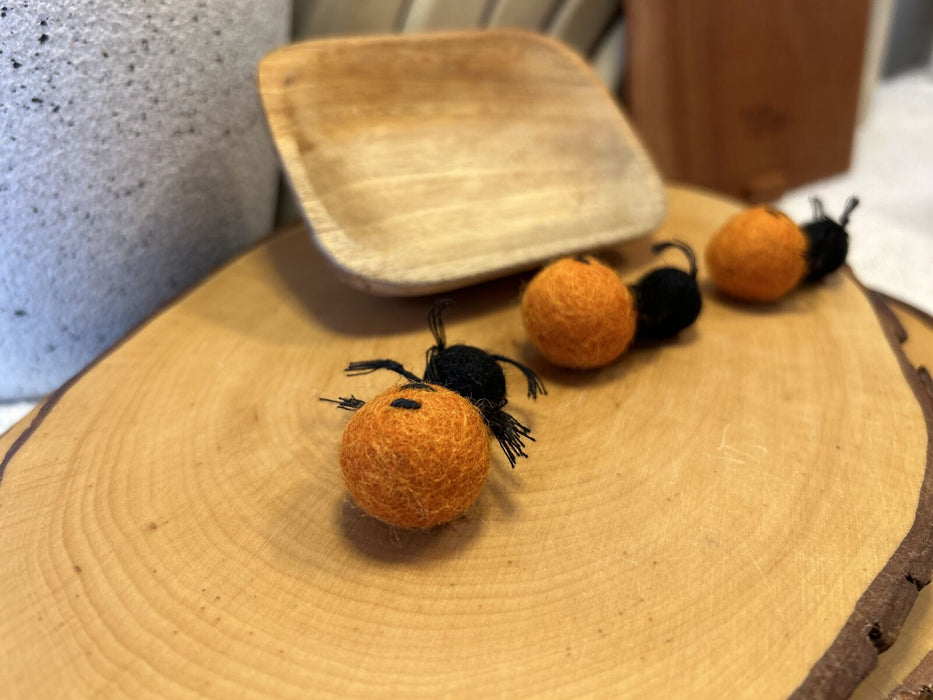 Bush Tucker Honey Ants Set of 3 and Coolamon