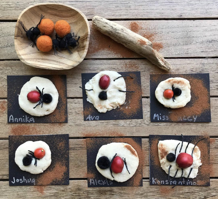 Bush Tucker Honey Ants Set of 3 and Coolamon
