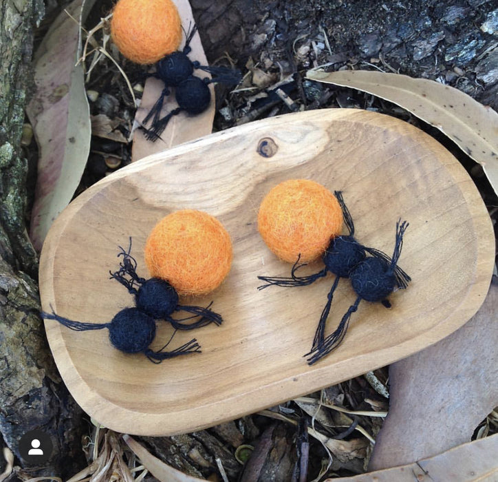 Bush Tucker Honey Ants Set of 3 and Coolamon