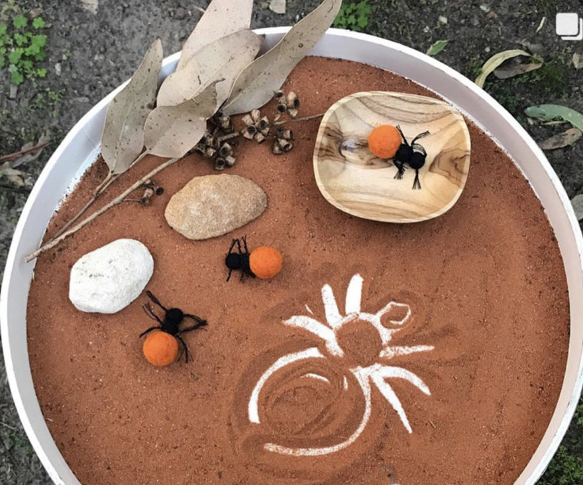 Bush Tucker Honey Ants Set of 3 and Coolamon