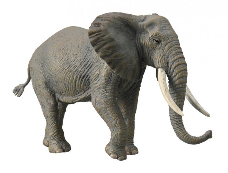 African Animals Set of 12