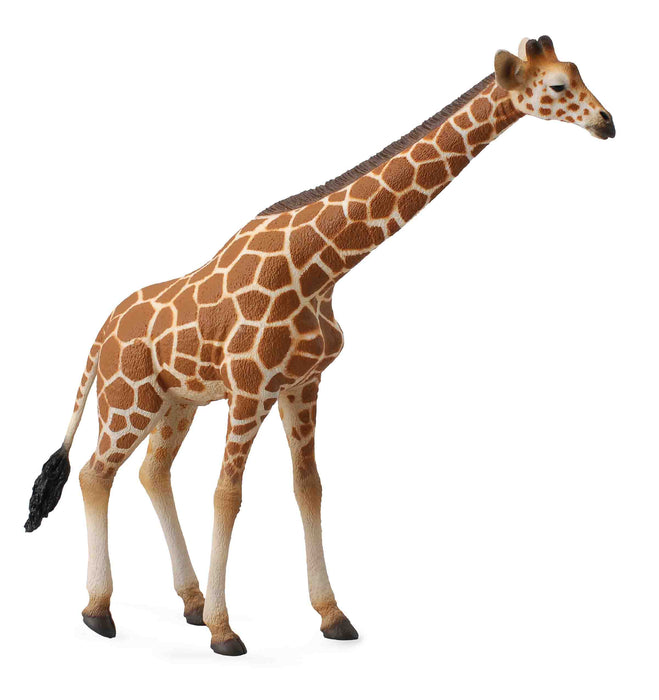 African Animals Set of 12