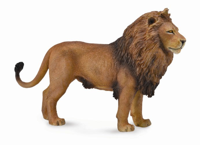 African Animals Set of 12