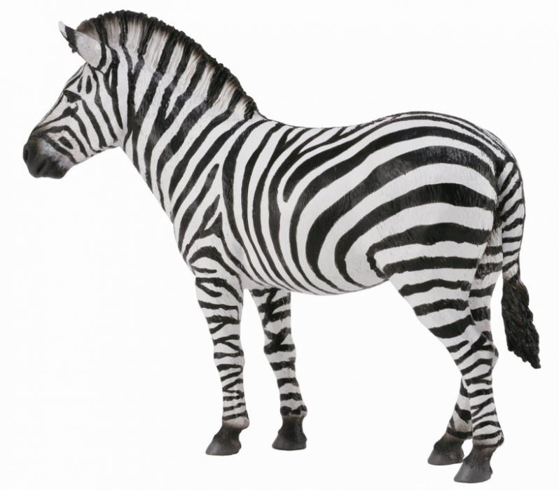 African Animals Set of 12