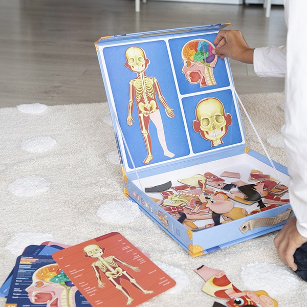 Human Body