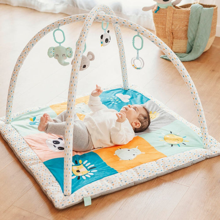 CUCU Baby Activity Gym