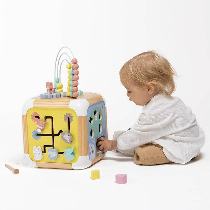 Activity Little Cube E691833316