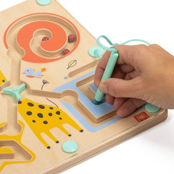 Magnetic Circuit