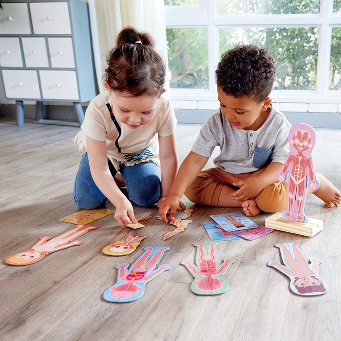 Human Body Magnetic Puzzle