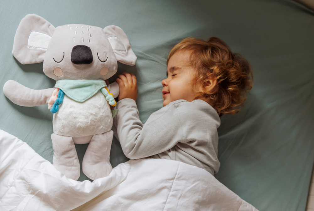 CUCU  Teddy Koala