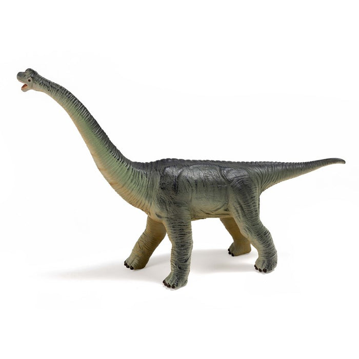 Dino Brachiosaurus