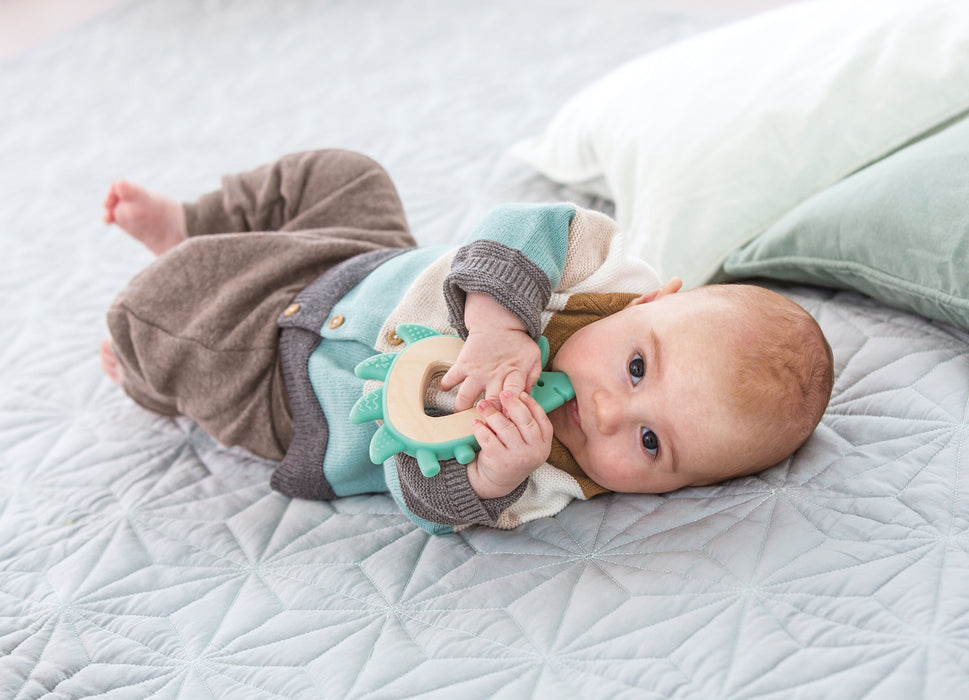 Teether Hedgehog