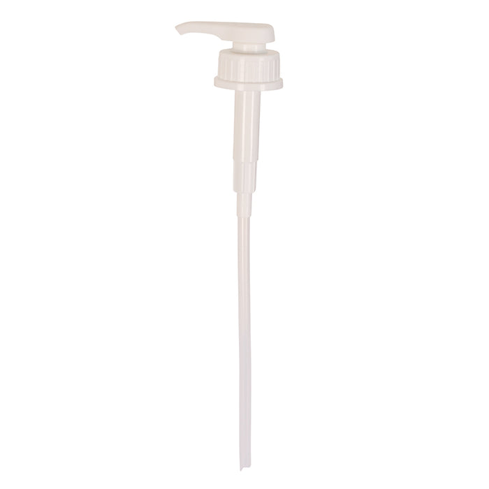 Paint Pump