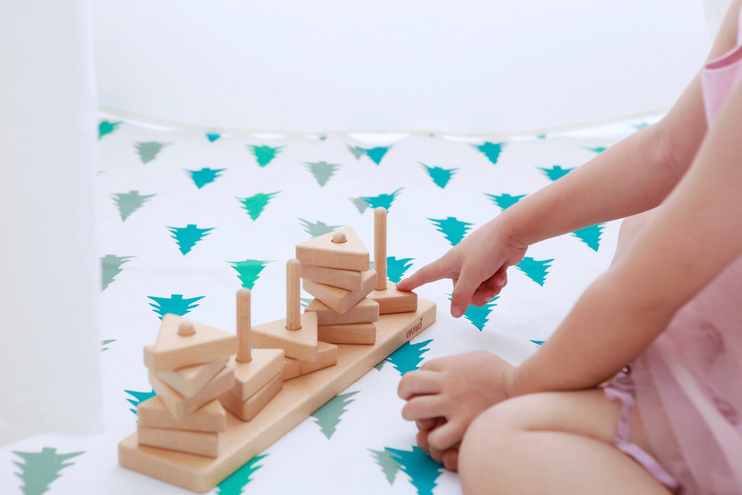 Shape Matching Set