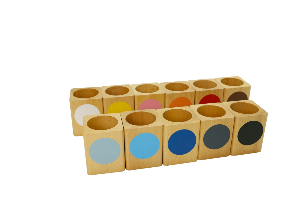Colored Inset Pencil Holders: Set Of 11