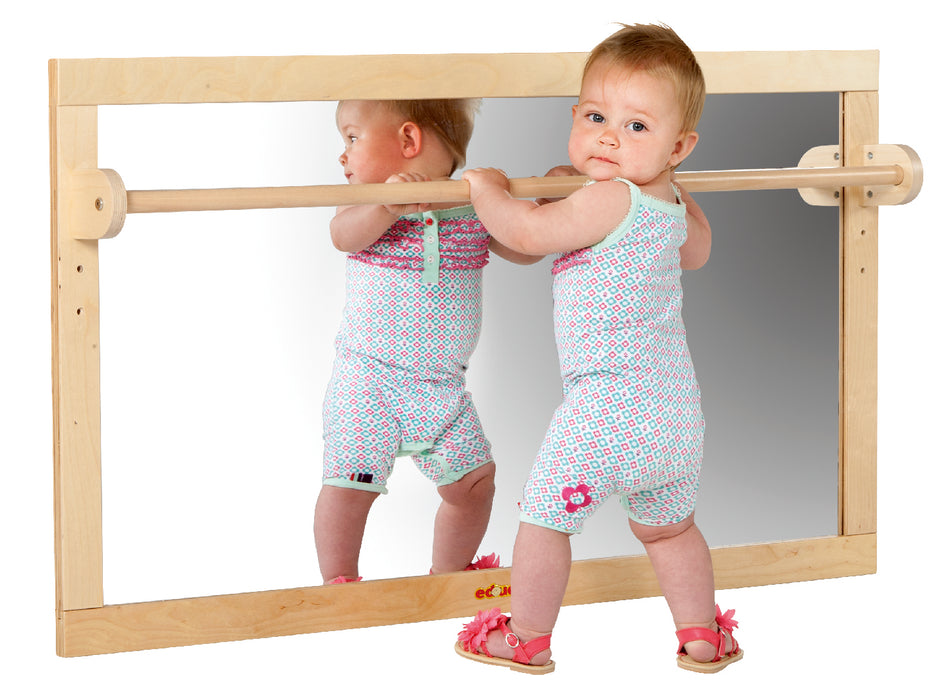 Mirror with Handrail