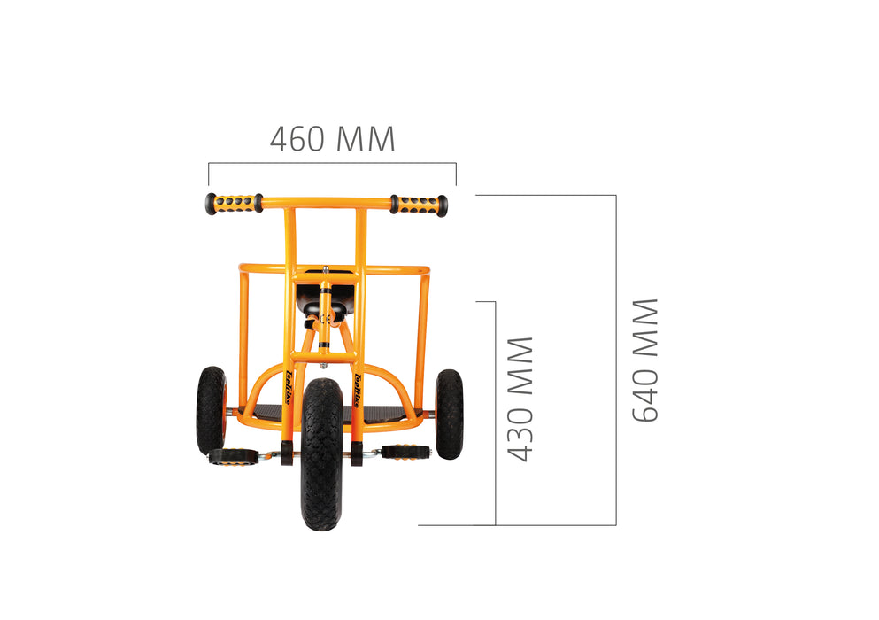 Express Trike